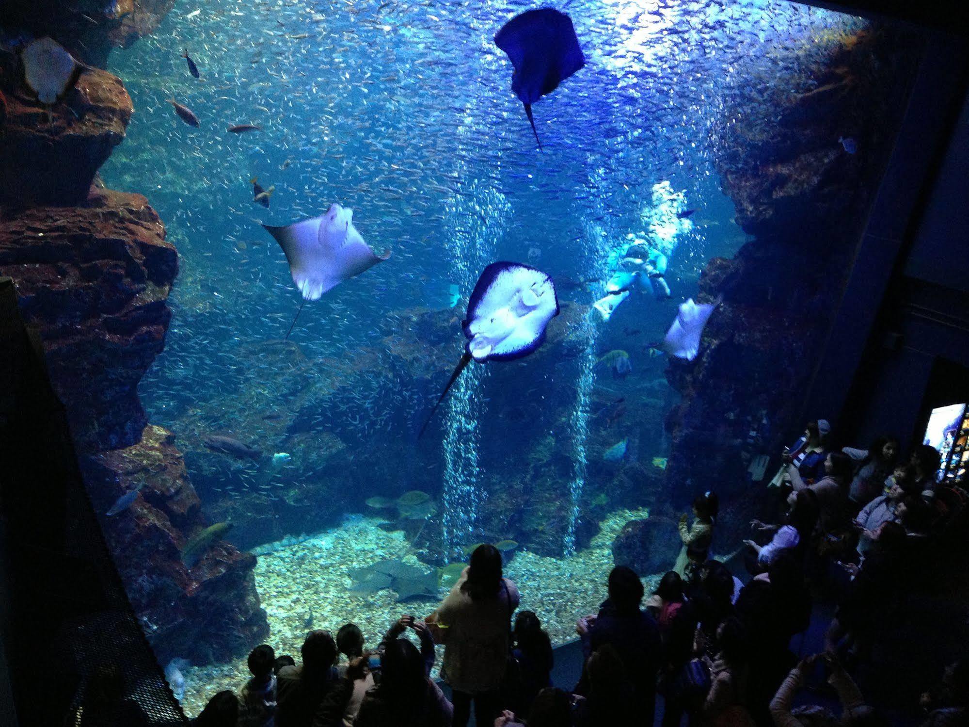 Отель Livemax Kyoto Gojo Экстерьер фото